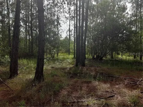 Oil Well Road Clermont FL 34714