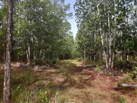Oil Well Road Clermont FL 34714