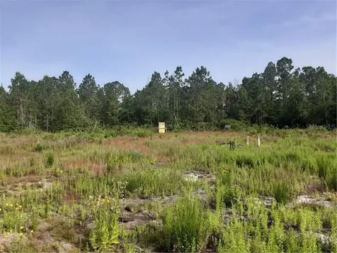 Oil Well Road Clermont FL 34714