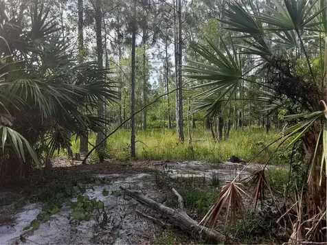 Oil Well Road Clermont FL 34714