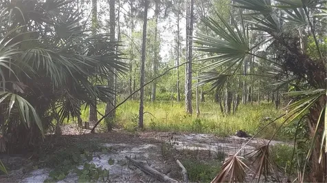 Oil Well Road Clermont FL 34714