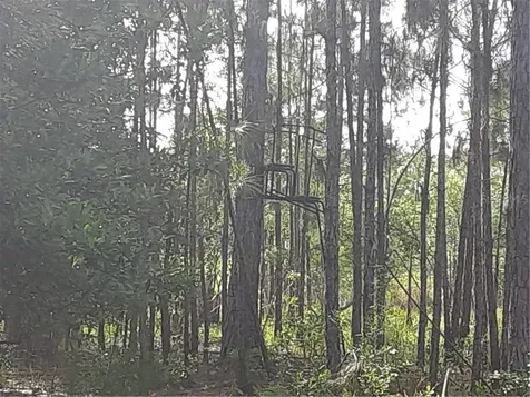 Oil Well Road Clermont FL 34714