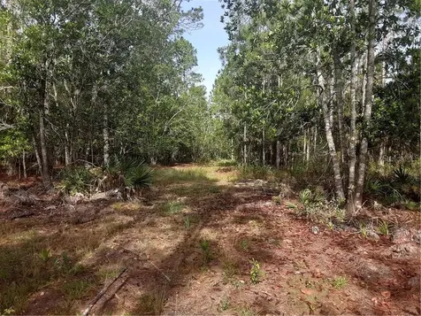 Oil Well Road Clermont FL 34714