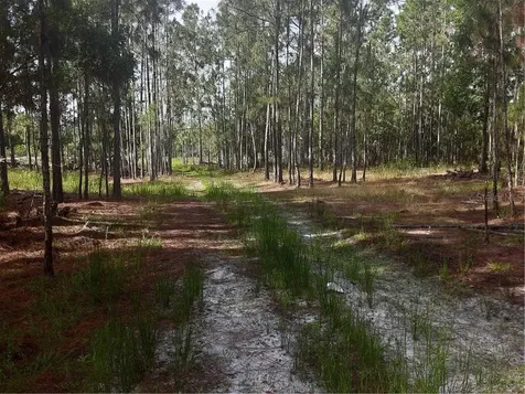 Oil Well Road Clermont FL 34714