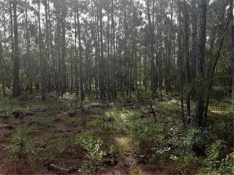 Oil Well Road Clermont FL 34714
