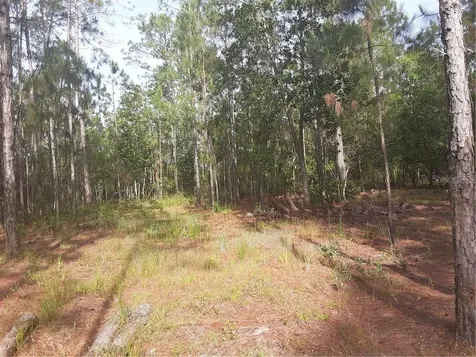 Oil Well Road Clermont FL 34714
