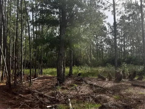Oil Well Road Clermont FL 34714