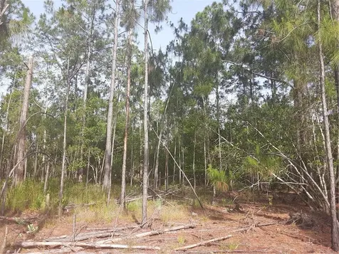 Oil Well Road Clermont FL 34714