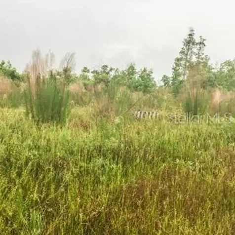 Oil Well Road Clermont FL 34714