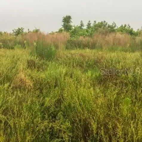Oil Well Road Clermont FL 34714