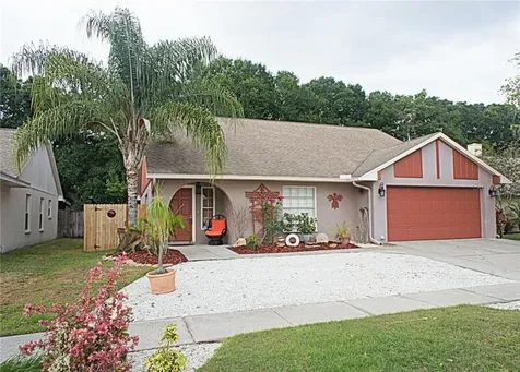 7237 Hollowell Drive Tampa FL 33634