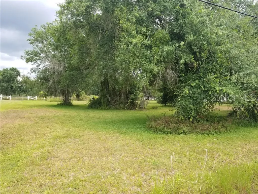 4433 NE Cubitis Avenue Arcadia FL 34266