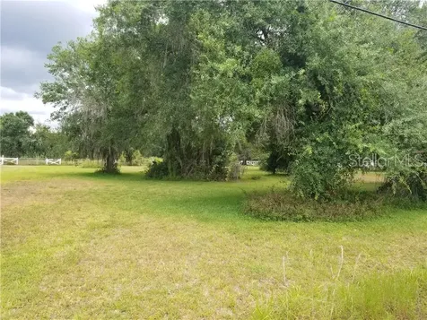4433 NE Cubitis Avenue Arcadia FL 34266