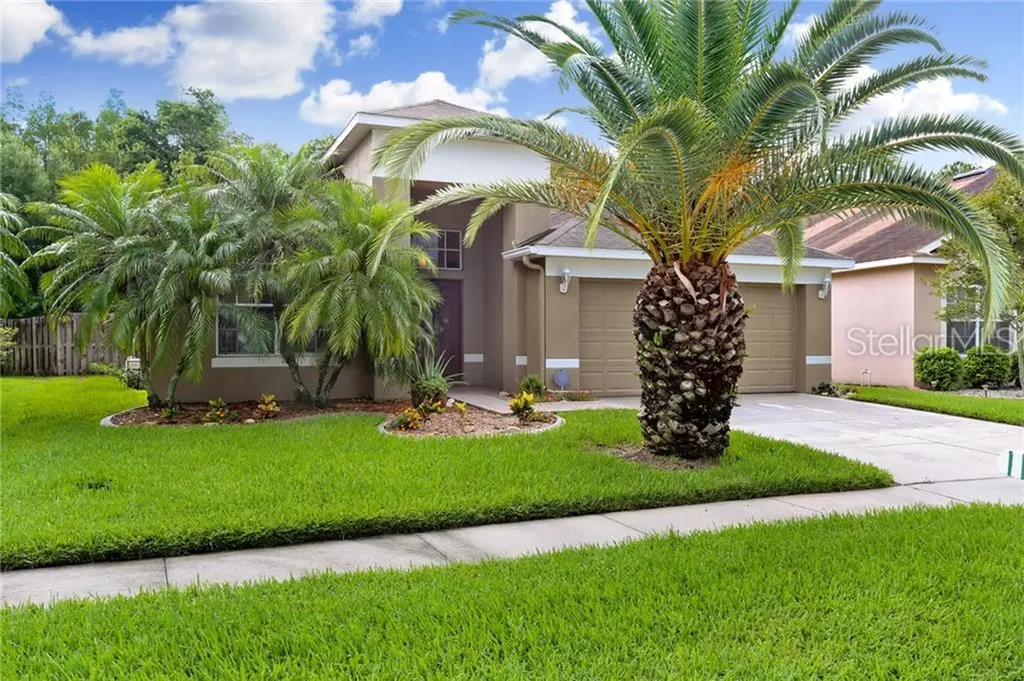 4620 Mapletree Loop Wesley Chapel FL 33544