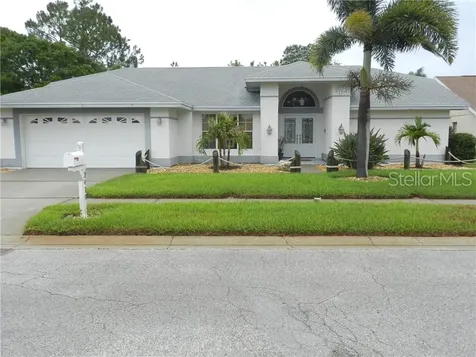 3419 Woodmuse Court Holiday FL 34691