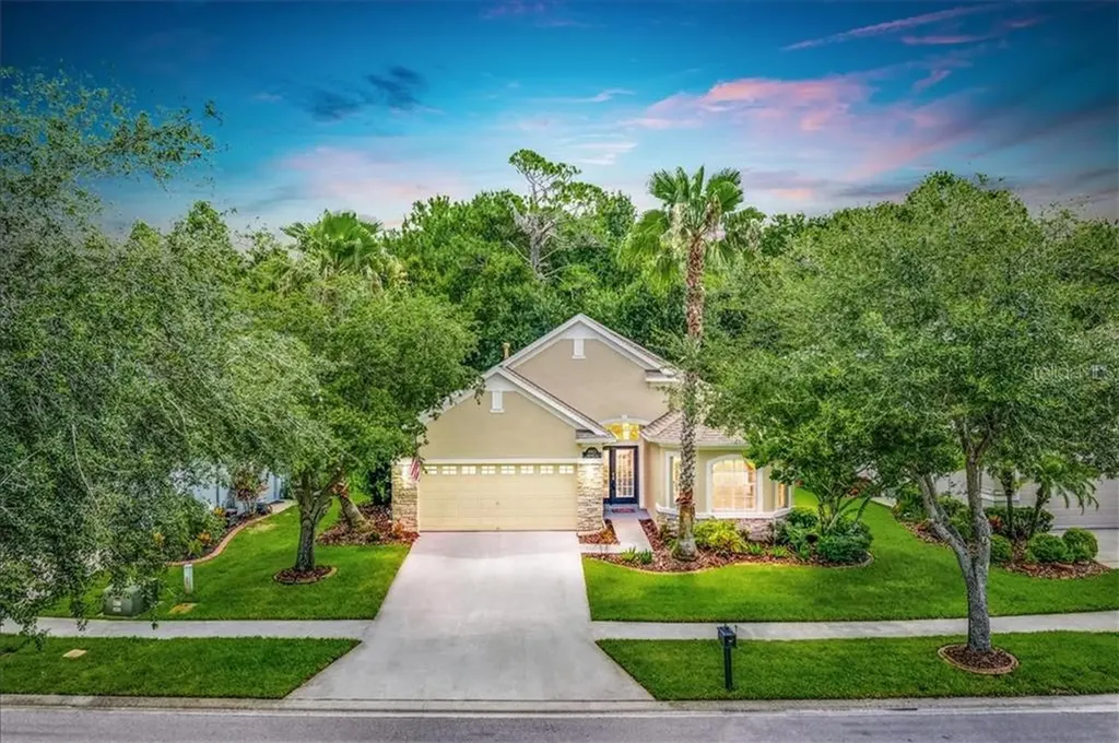 10411 Edgefield Place Tampa FL 33626
