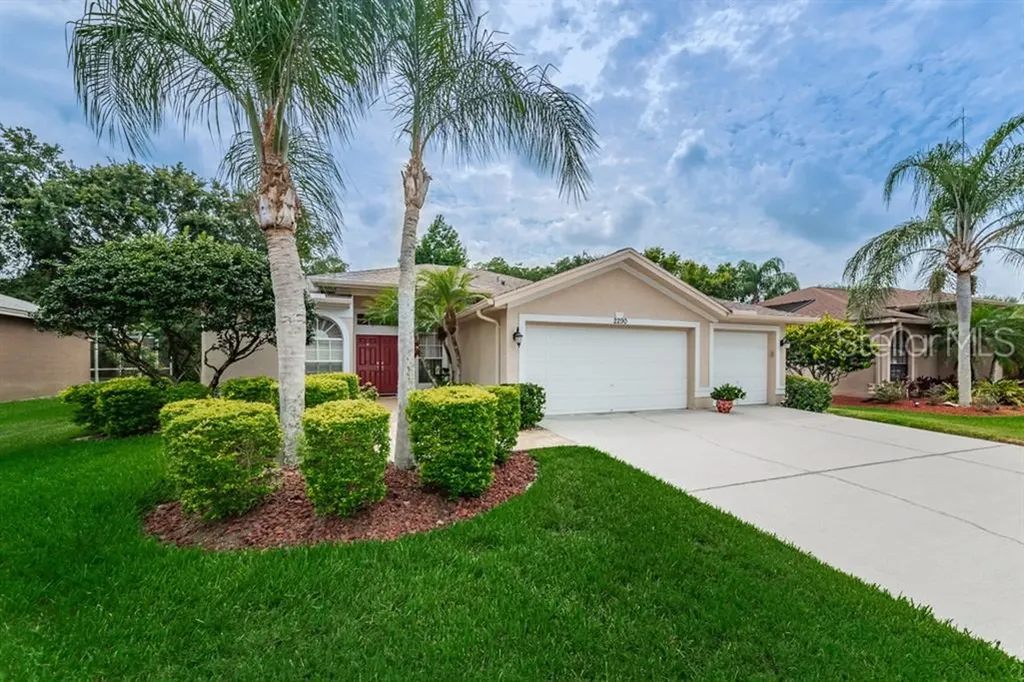 2290 Warwick Drive Oldsmar FL 34677