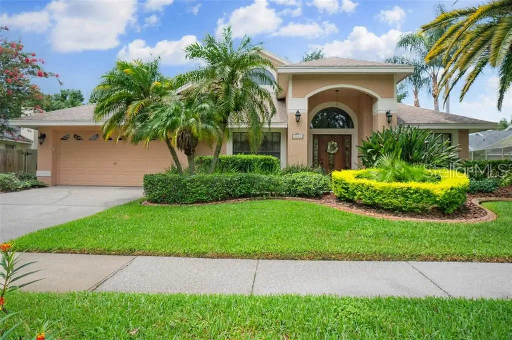 9249 Dayflower Drive Tampa FL 33647