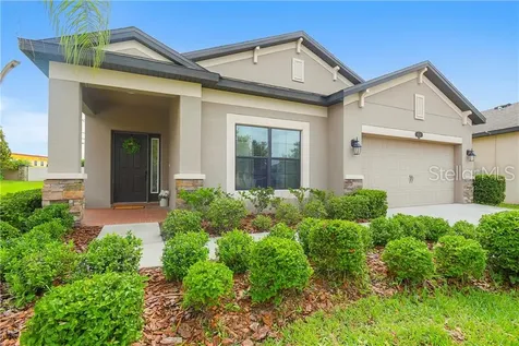 11634 Palmetto Pine Street Riverview FL 33569