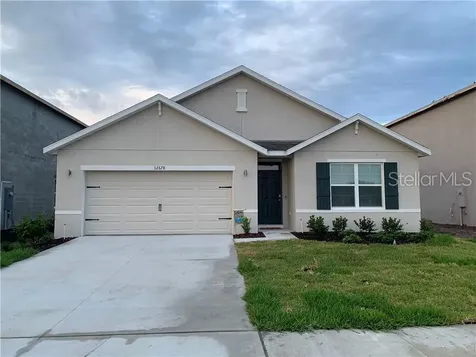 32678 Pez Landing Lane Wesley Chapel FL 33543