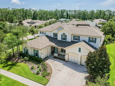 14802 Tudor Chase Drive Tampa FL 33626