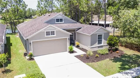 21917 Waverly Shores Lane Land O Lakes FL 34637