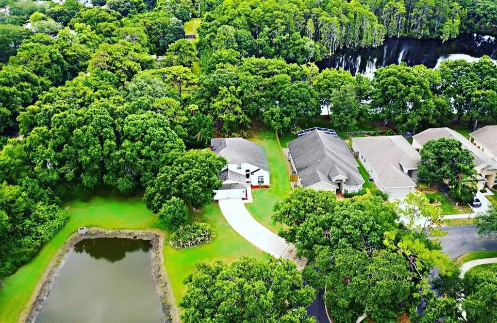 9117 Cliff Lake Lane Tampa FL 33614