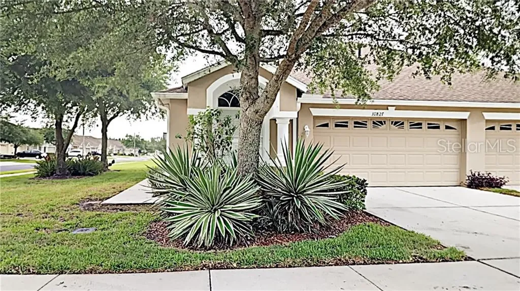 31827 Turkeyhill Drive Wesley Chapel FL 33543