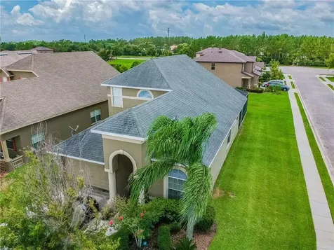 30806 Pumpkin Ridge Drive Wesley Chapel FL 33543