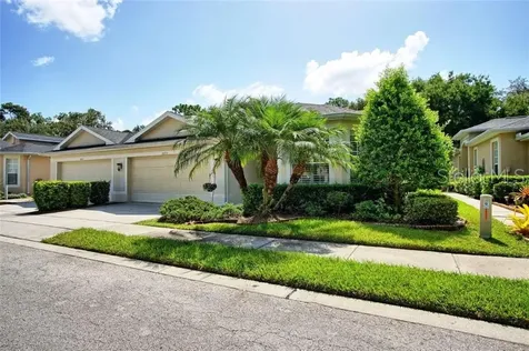 10715 Ashford Oaks Drive Tampa FL 33625