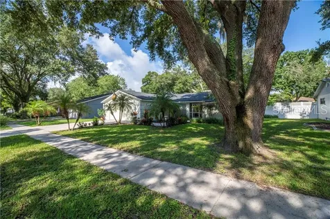 18318 Swan Lake Drive Lutz FL 33549
