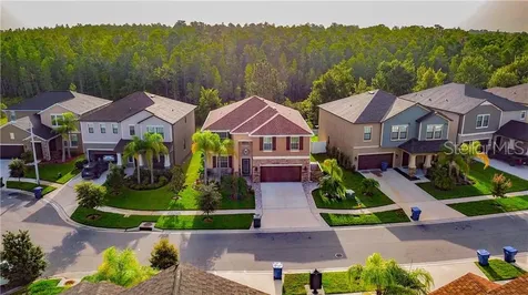 4430 Shrewbury Place Land O Lakes FL 34638