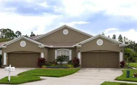 30351 Lettingwell Circle Wesley Chapel FL 33543