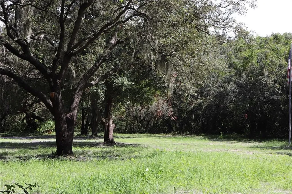 12006 Fawn Dale Drive Riverview FL 33569