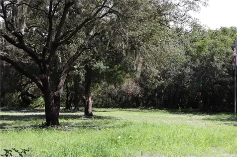 12006 Fawn Dale Drive Riverview FL 33569