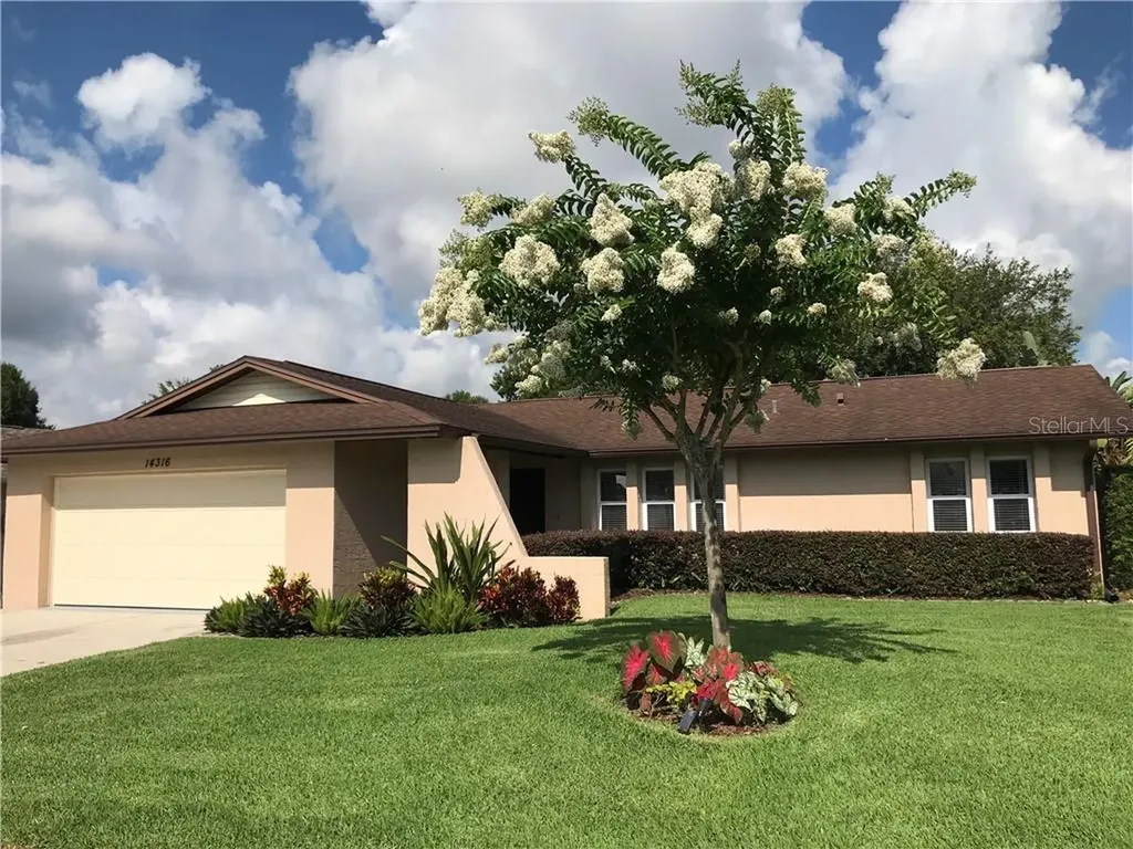 14316 Arbor Hills Road Tampa FL 33625