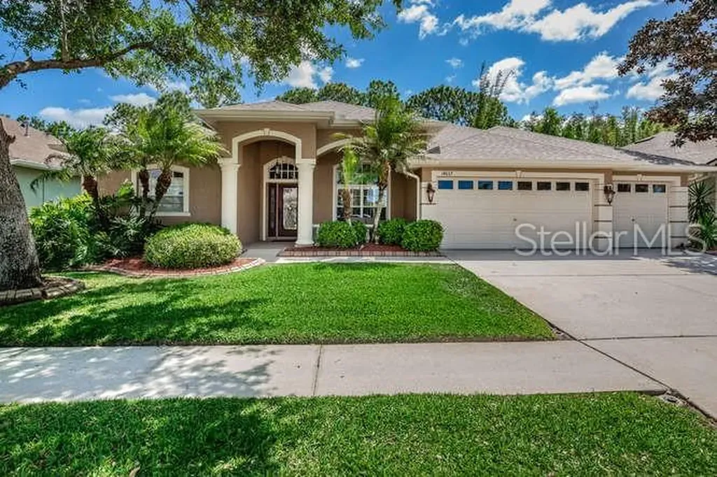 14637 Coral Berry Drive Tampa FL 33626
