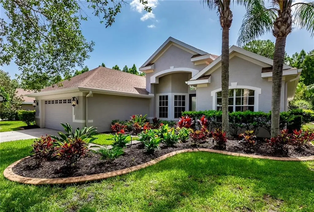 11329 Minaret Drive Tampa FL 33626