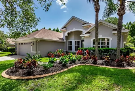 11329 Minaret Drive Tampa FL 33626