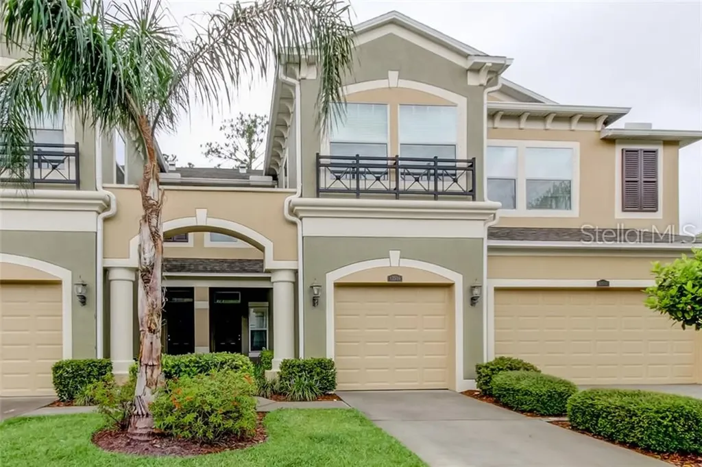 12556 Silverdale Street Tampa FL 33626