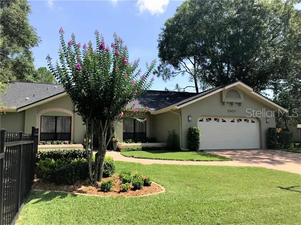 3901 Belmoor Drive Palm Harbor FL 34685
