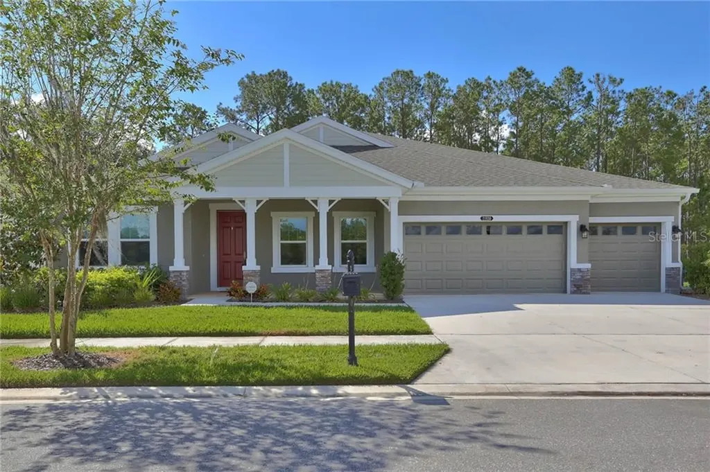 21930 Butterfly Kiss Drive Land O Lakes FL 34637