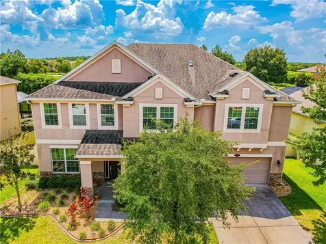 20264 Ravens End Drive Tampa FL 33647