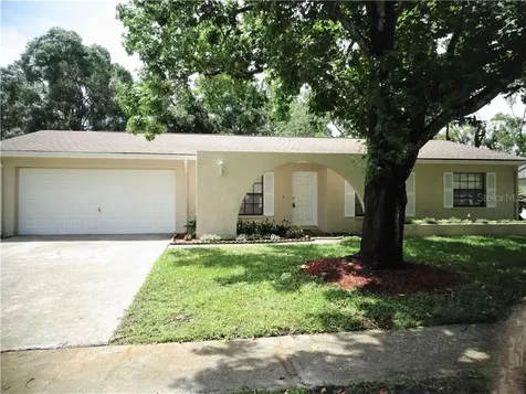 4219 Briarberry Lane Tampa FL 33624