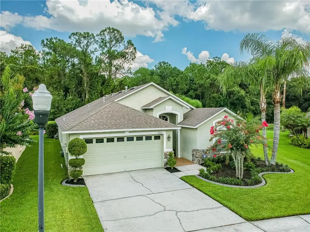 14313 Sky Flower Lane Tampa FL 33626