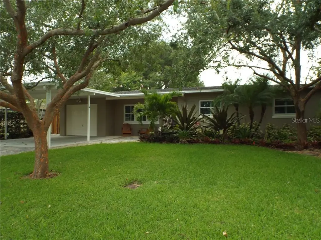 10218 N Valle Drive Tampa FL 33612