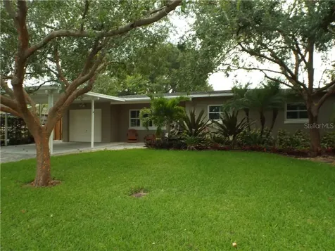 10218 N Valle Drive Tampa FL 33612