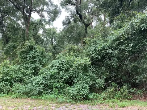 245 Wildwood Oaks Lane Deland FL 32720