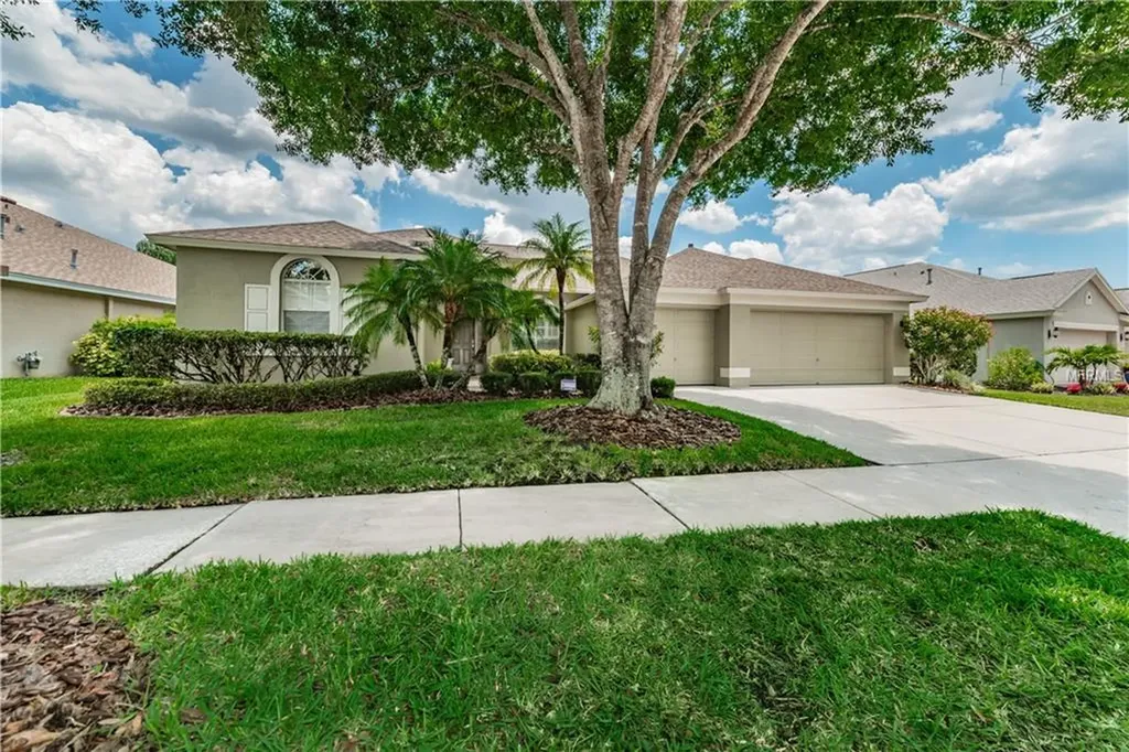 10233 Millport Drive Tampa FL 33626