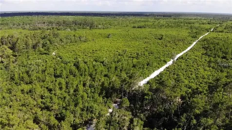 Cottonwood Trail Eustis FL 32736